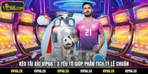 Kèo Tài Xỉu Vip66 - 3 Yếu Tố Giúp Phân Tích Tỷ Lệ Chuẩn